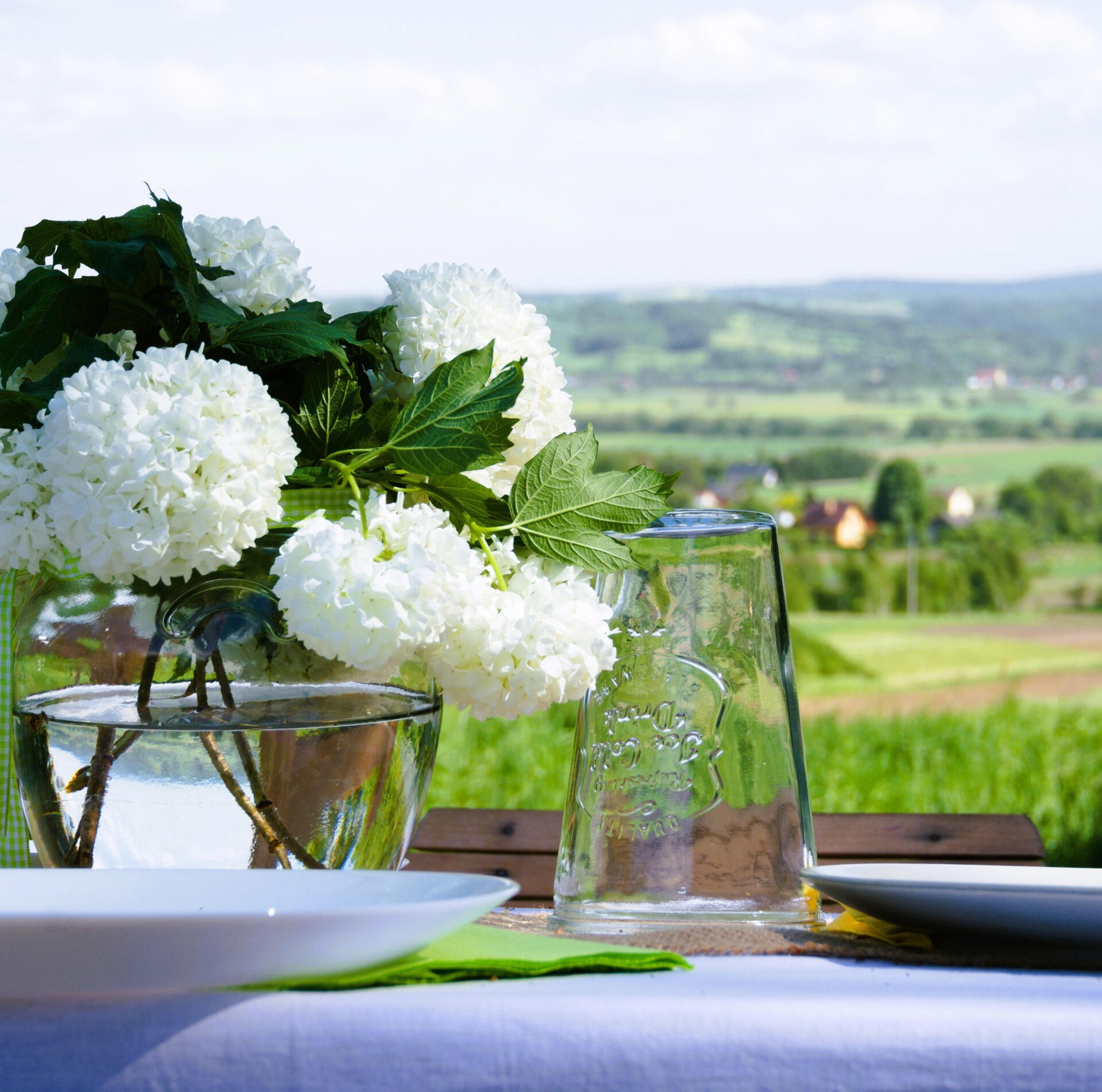 Stół cateringowy z widokiem na góry w tle.
